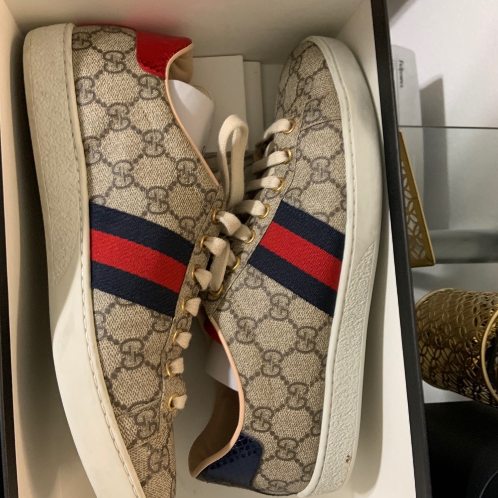 Gucci new ace